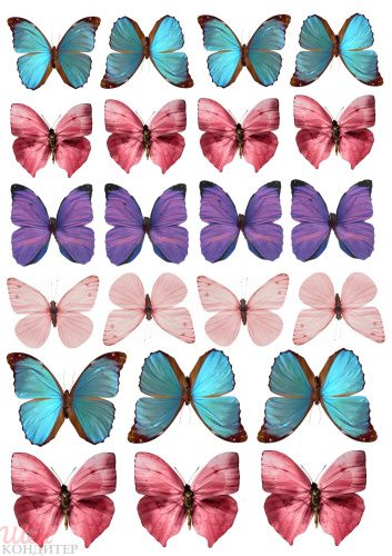 Сахарная картинка Бабочки С151
