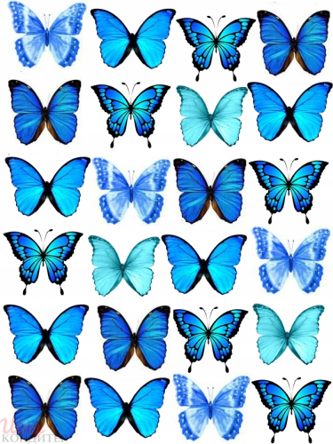 Сахарная картинка Бабочки С159