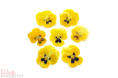 Виола обезвоженная Сочный манго 8 шт Виола обезвоженная Сочный манго 8 шт