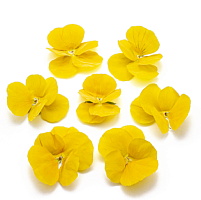 Виола обезвоженная Солнечный рай 8 шт