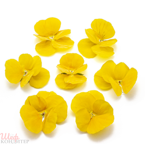 Виола обезвоженная Солнечный рай 8 шт