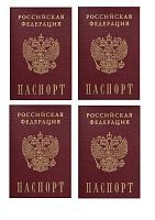 Вафельная картинка Паспорт В102