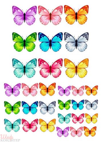 Вафельная картинка Бабочки В160