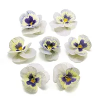 Виола обезвоженная Ледяная сказка день  8шт