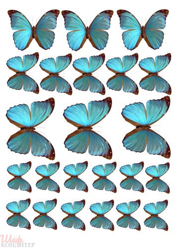 Вафельная картинка Бабочки В154