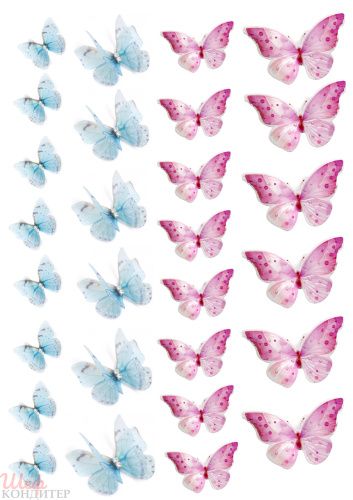 Сахарная картинка Бабочки С153