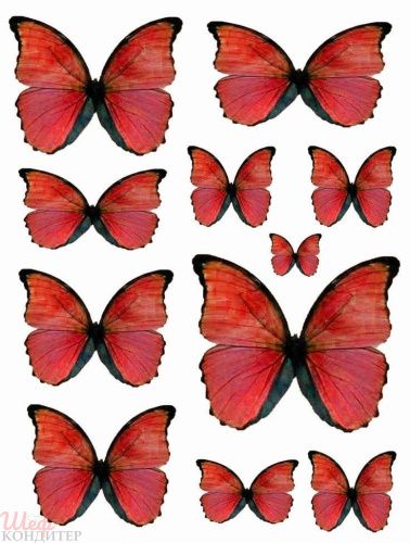 Вафельная картинка Бабочки В158
